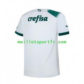 Maillot de Foot Palmeiras Exterieur 2023/24